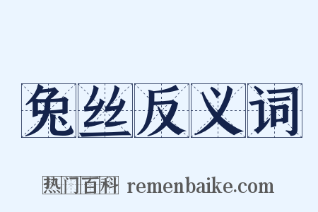兔丝反义词是什么意思的图片